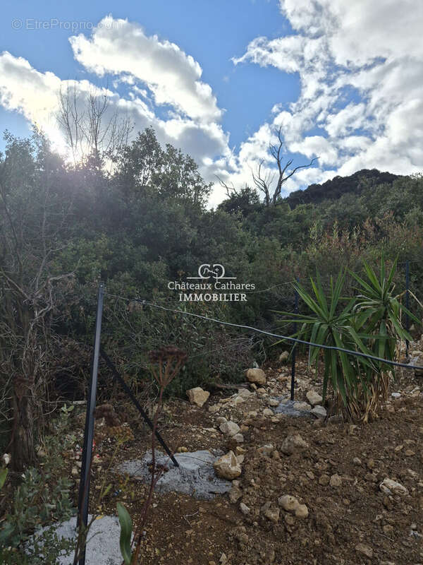 Terrain à DUILHAC-SOUS-PEYREPERTUSE