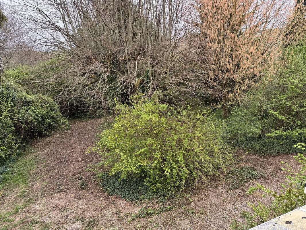 Photo 4 - Maison à SAINTE-GEMME