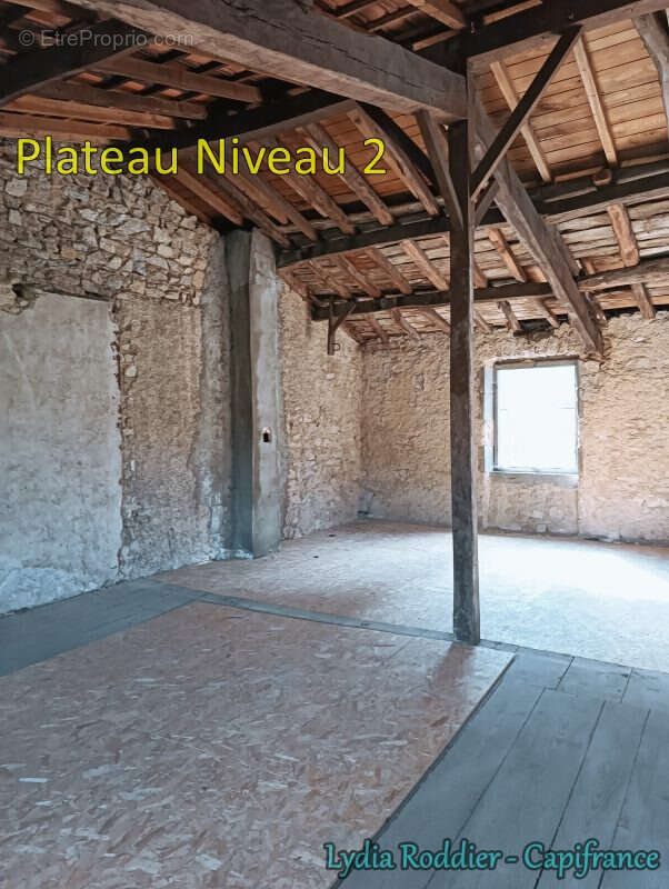 Maison de maître de 10 pièces avec terrain RARE à Thiers (63300) - photo 15