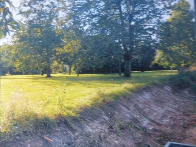 Terrain à SAINT-REMY-LA-VANNE