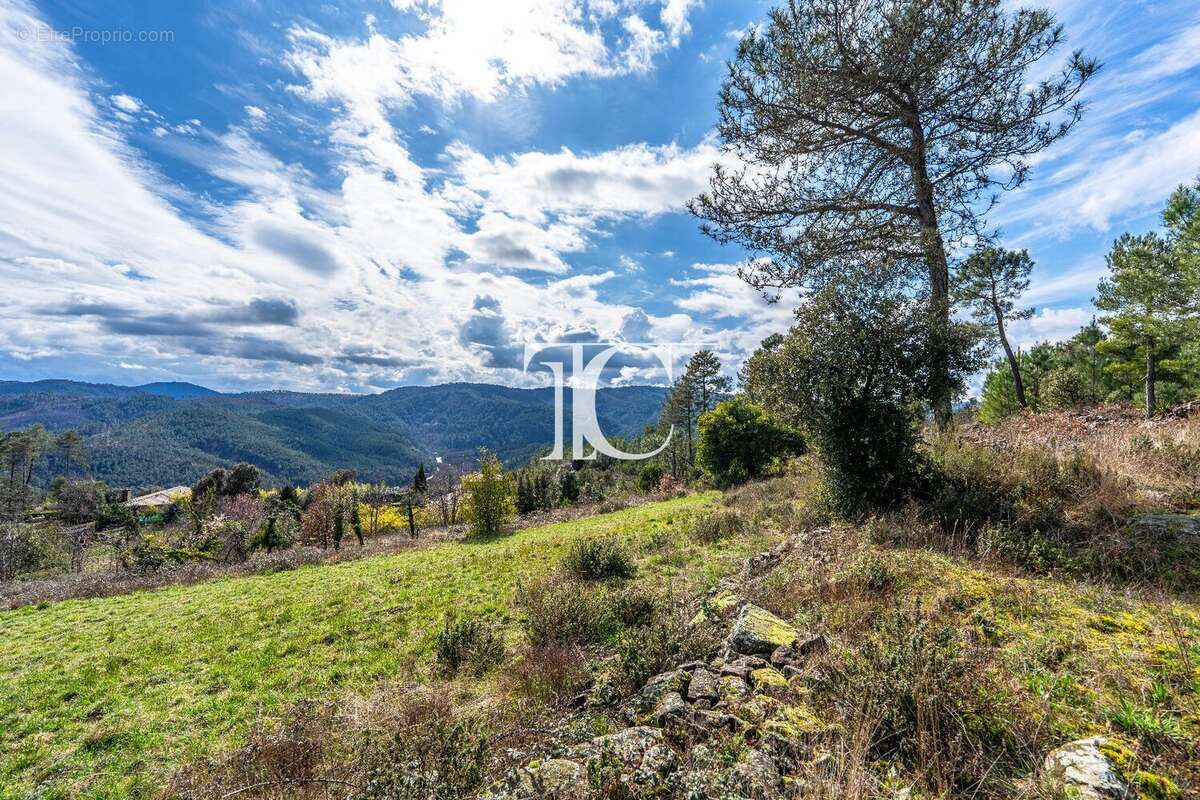 Terrain 9650m² situe plein sud - photo 10