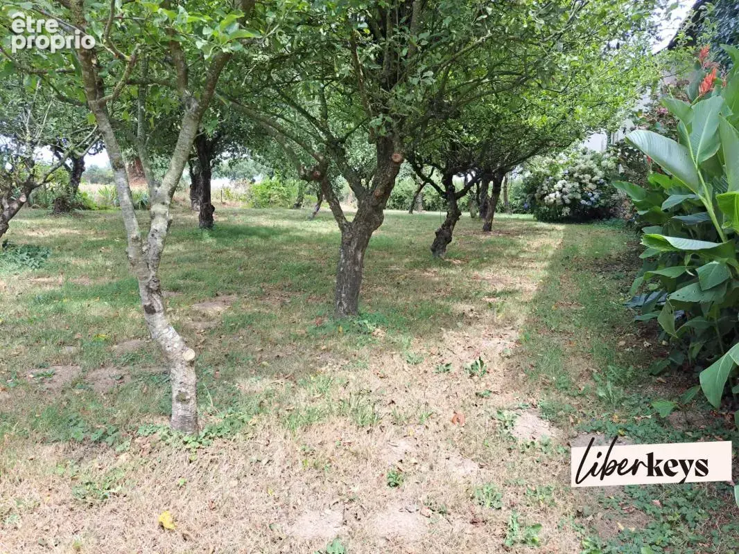 Maison avec dependances - photo 8