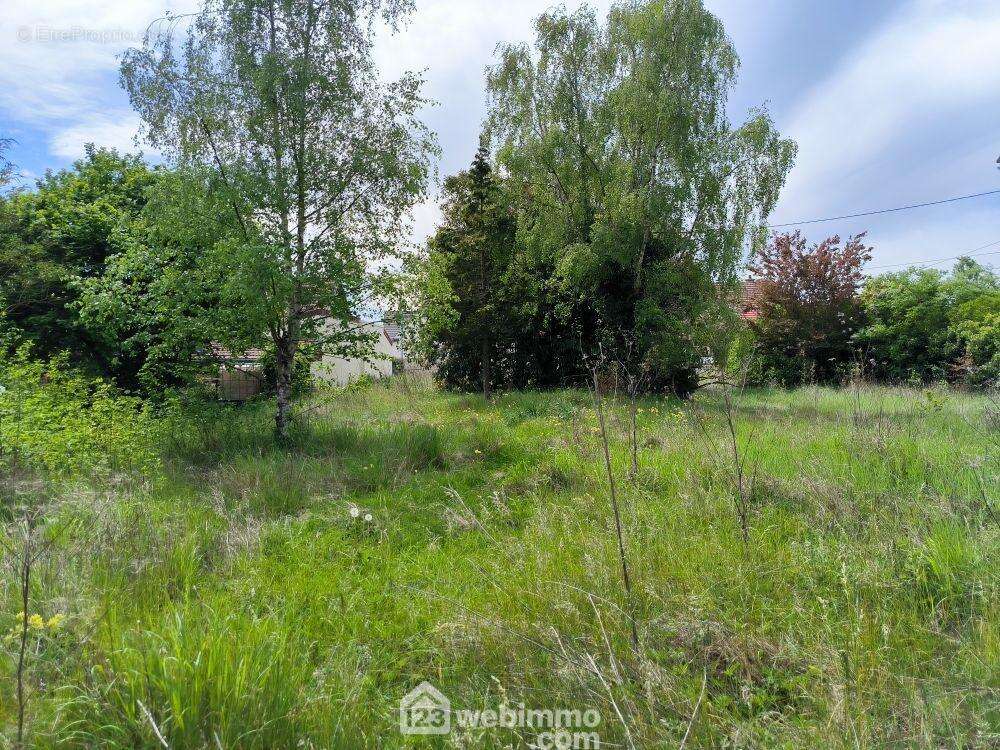 Le terrain est plat et libre de constructeur - Terrain à VAILLY-SUR-AISNE