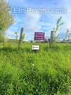 Terrain à LE MELE-SUR-SARTHE