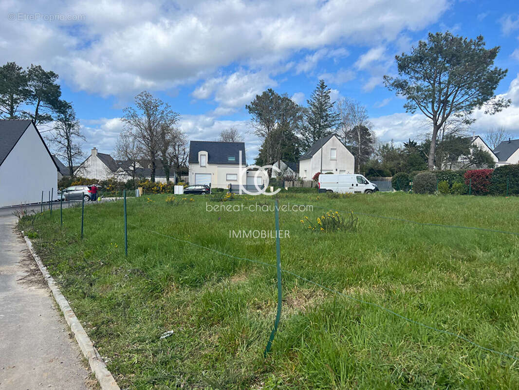 Terrain à SARZEAU
