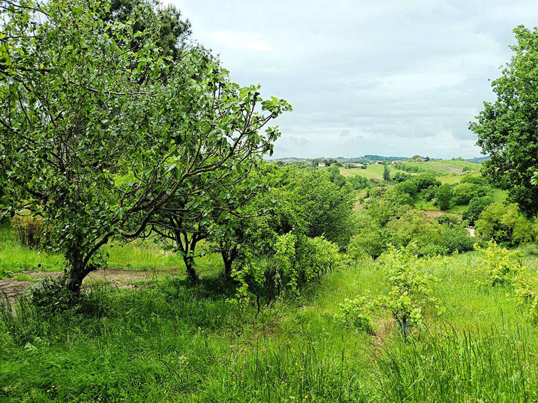 Terrain à MOISSAC