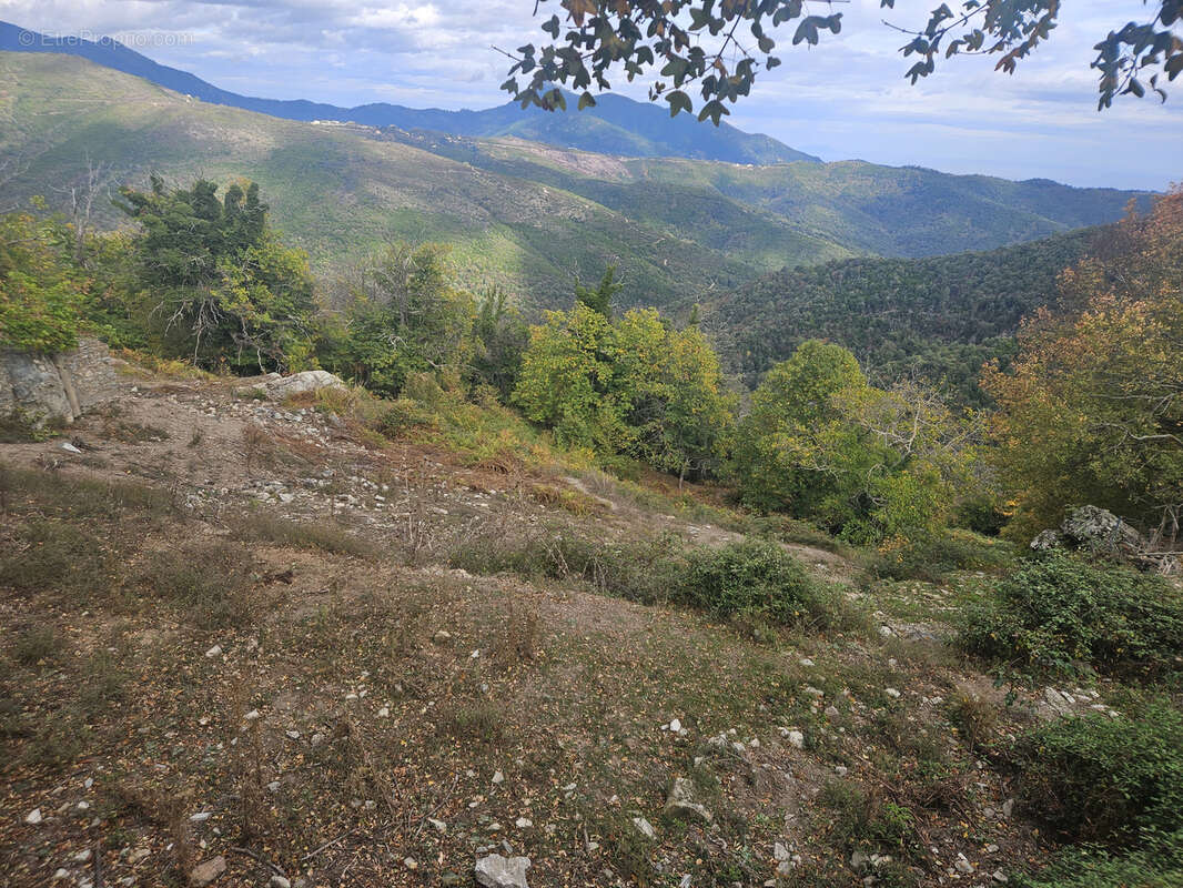 Terrain à PIETRASERENA