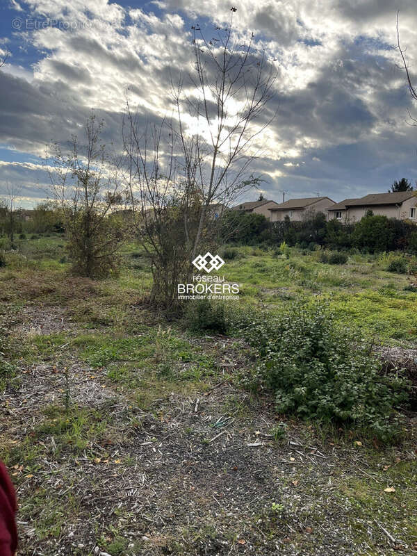 Commerce à LIVRON-SUR-DROME