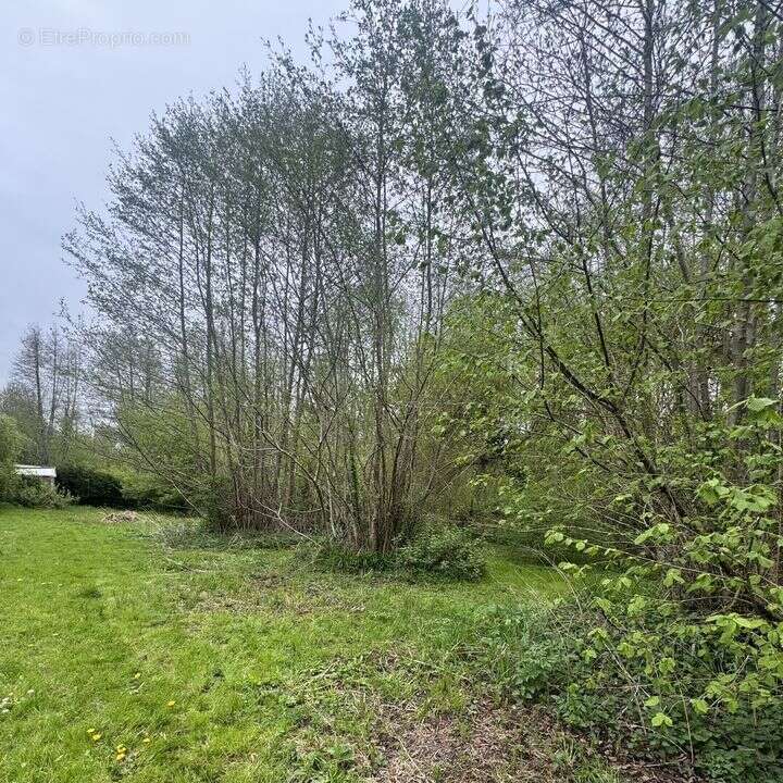 Maison à CHALO-SAINT-MARS