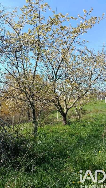 Photo 8 - Terrain à TOURNAY
