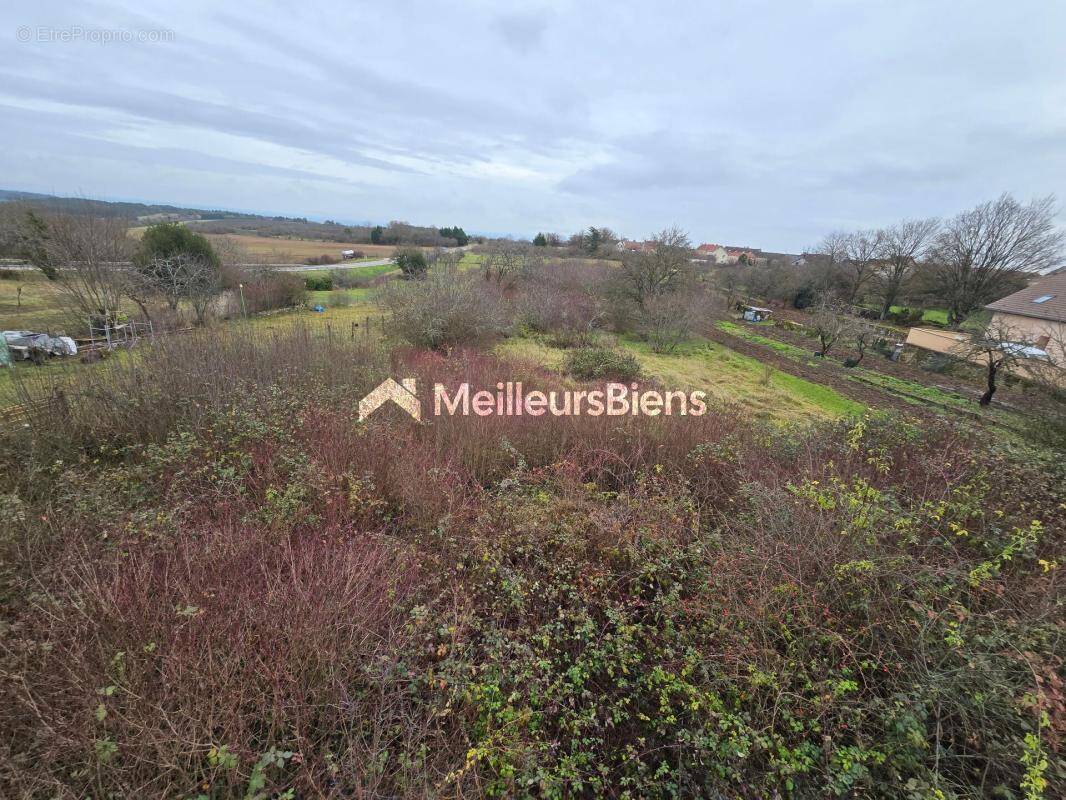 Terrain à CORCELLES-LES-MONTS