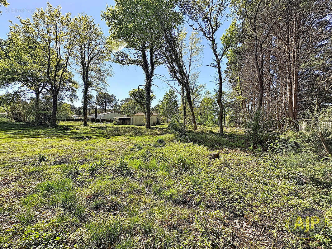 Terrain à SOULLANS