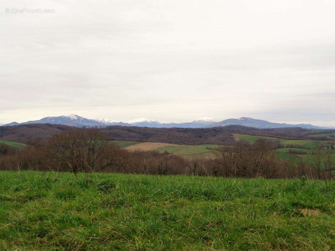 Terrain à BIDACHE