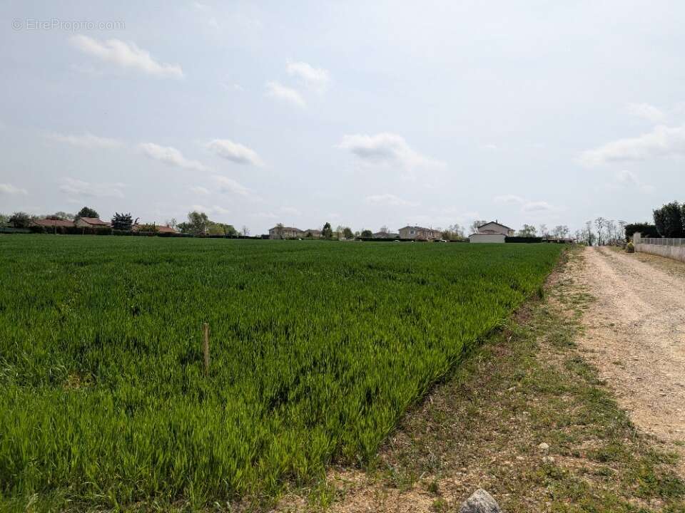 Terrain à ARS-SUR-FORMANS