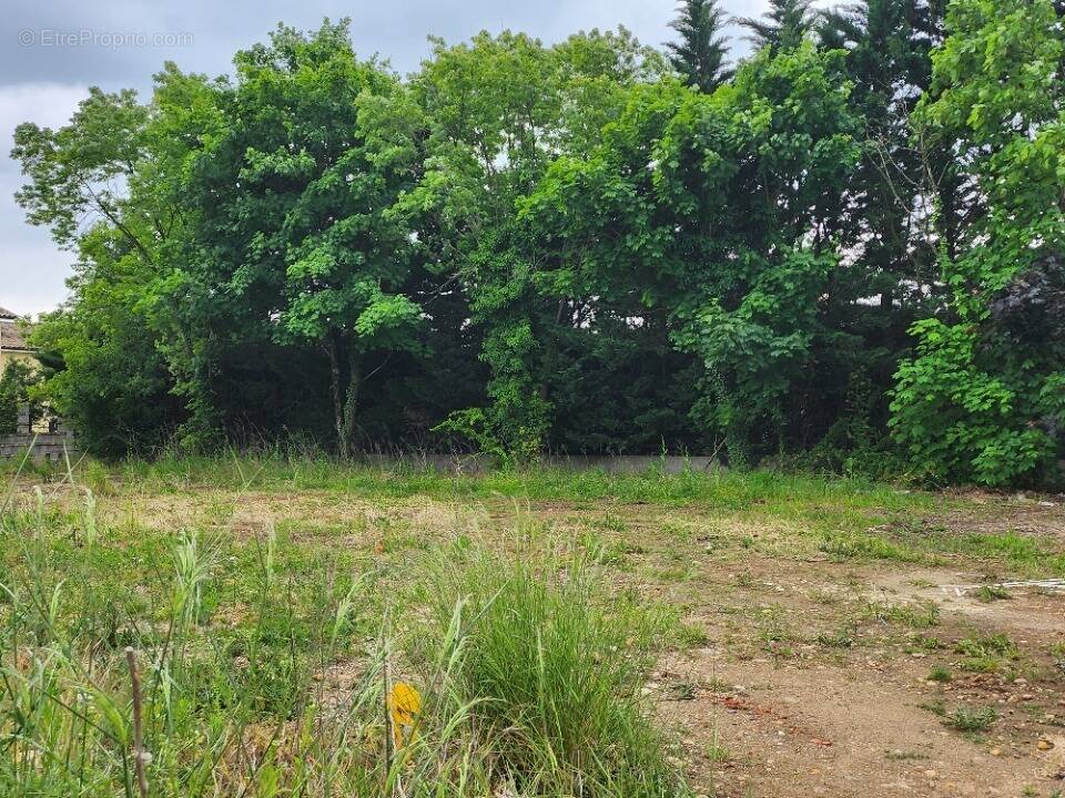 Terrain à PONT-EVEQUE