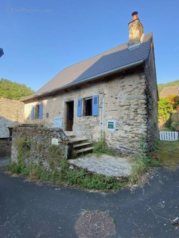 Maison à VIEILLEVIE