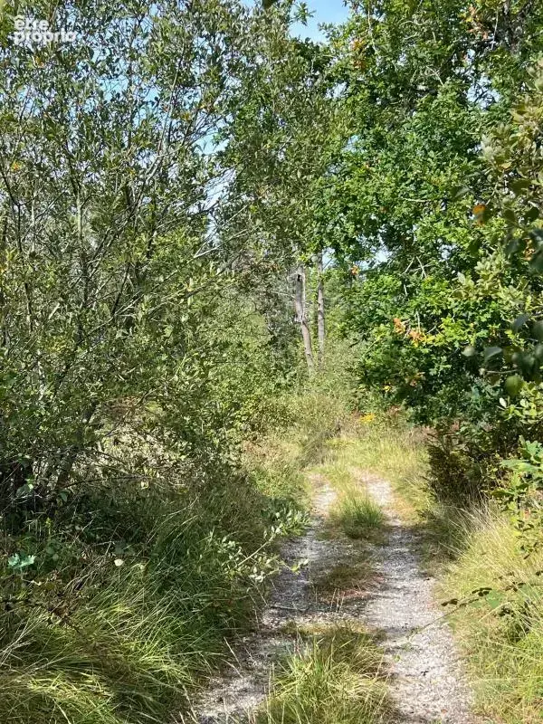 À vendre – argol – finistère – presqu’île de crozon-exceptionnel terrain de loisirs de 40 000 m² - photo 65