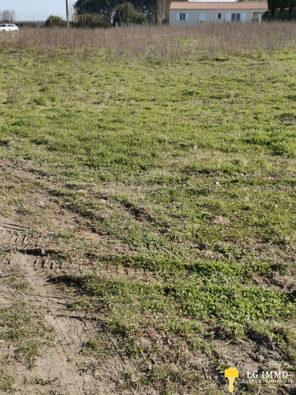 Terrain à BOIS