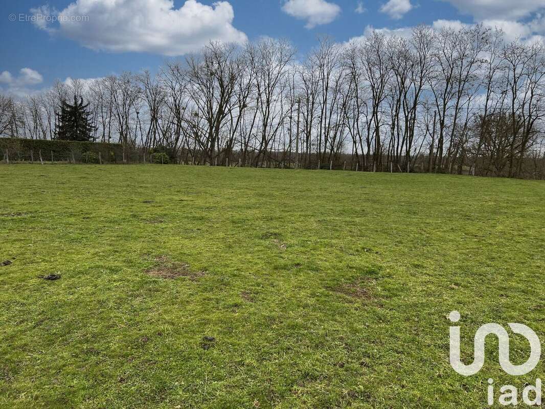 Terrain 1538 m² à Chassenard  - photo 2