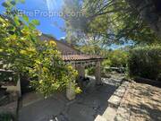 Terrasse côté cuisine  - Maison à LE CANNET