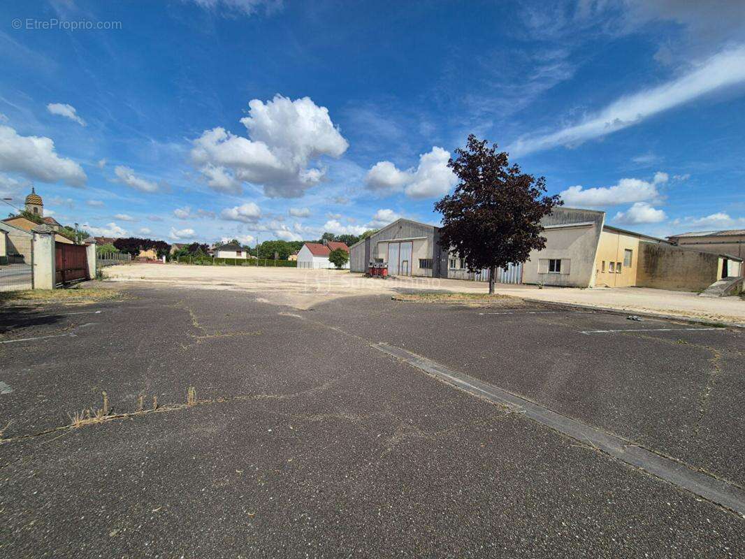 Bâtiment Industriel avec bureaux  et hangars de 2200 m2 + Maison de 250 m2 sur 12000 m2 de Terrain - photo 4