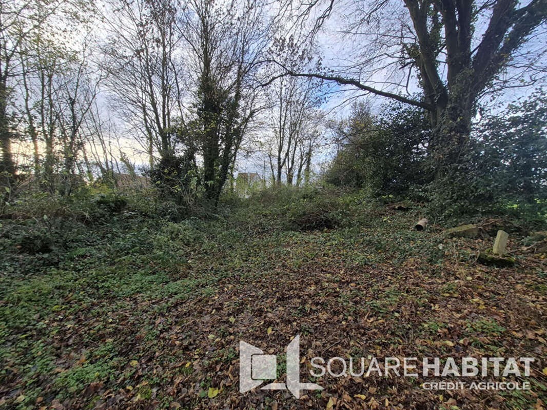 Terrain à LIGNY-SAINT-FLOCHEL
