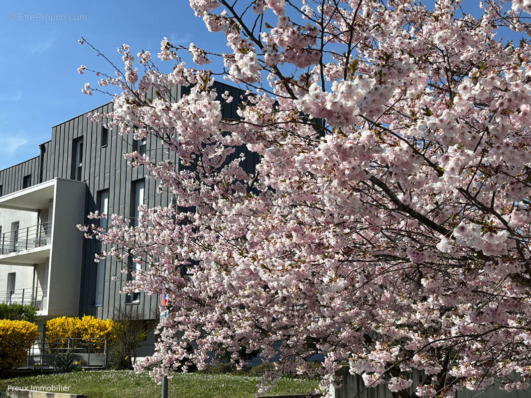 Appartement à SEYNOD