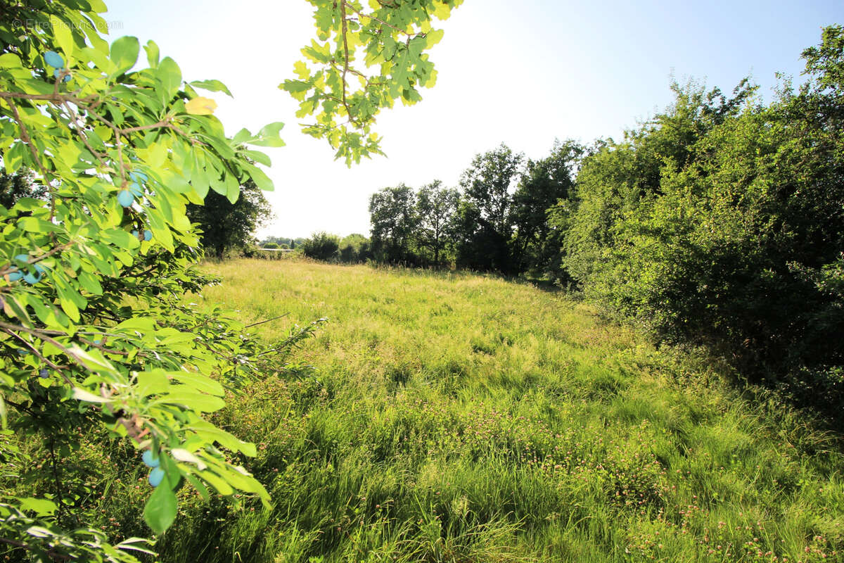 Terrain à MEAUZAC