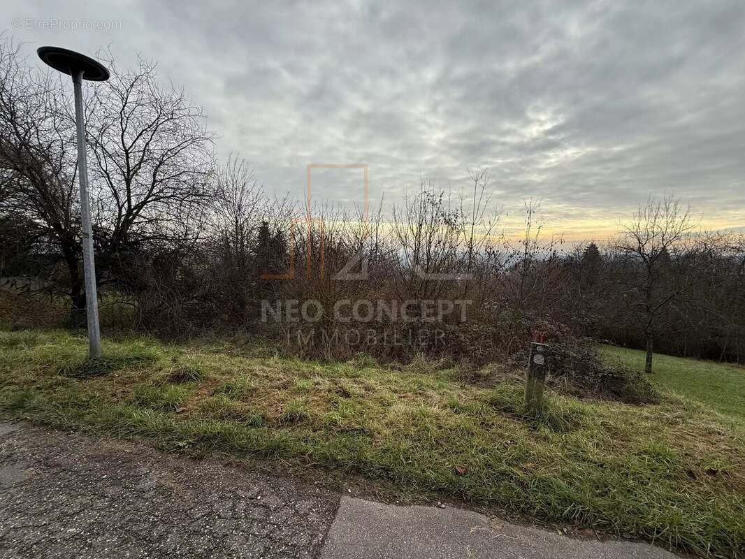 Terrain à OBERBRONN