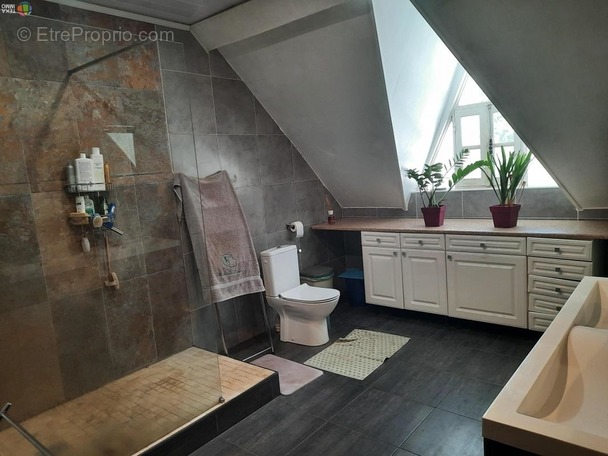 Maison à BRAS-PANON