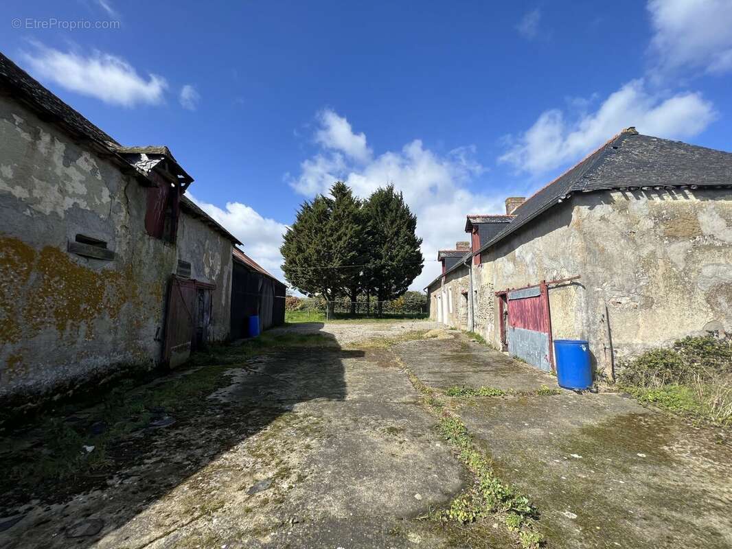 Maison à NOYAL-SUR-VILAINE