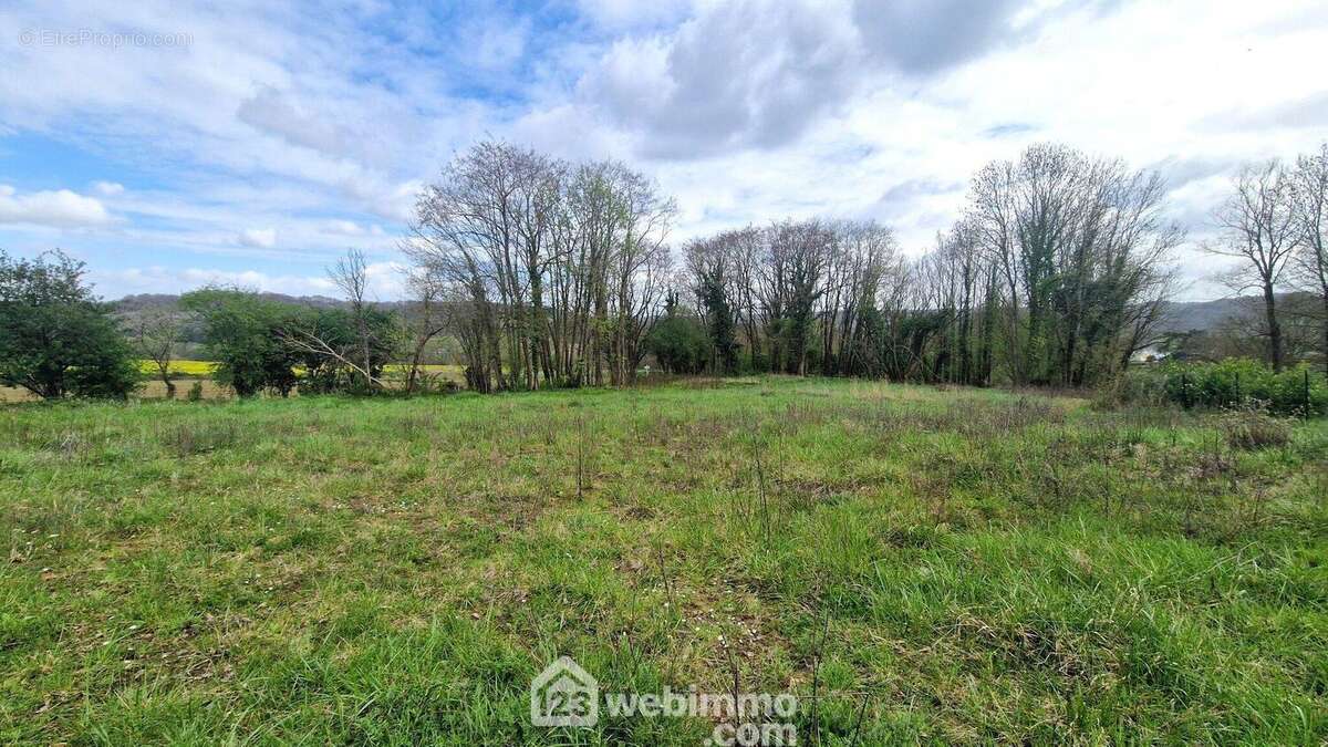 A découvrir rapidement ! - Terrain à CHAMOUILLE