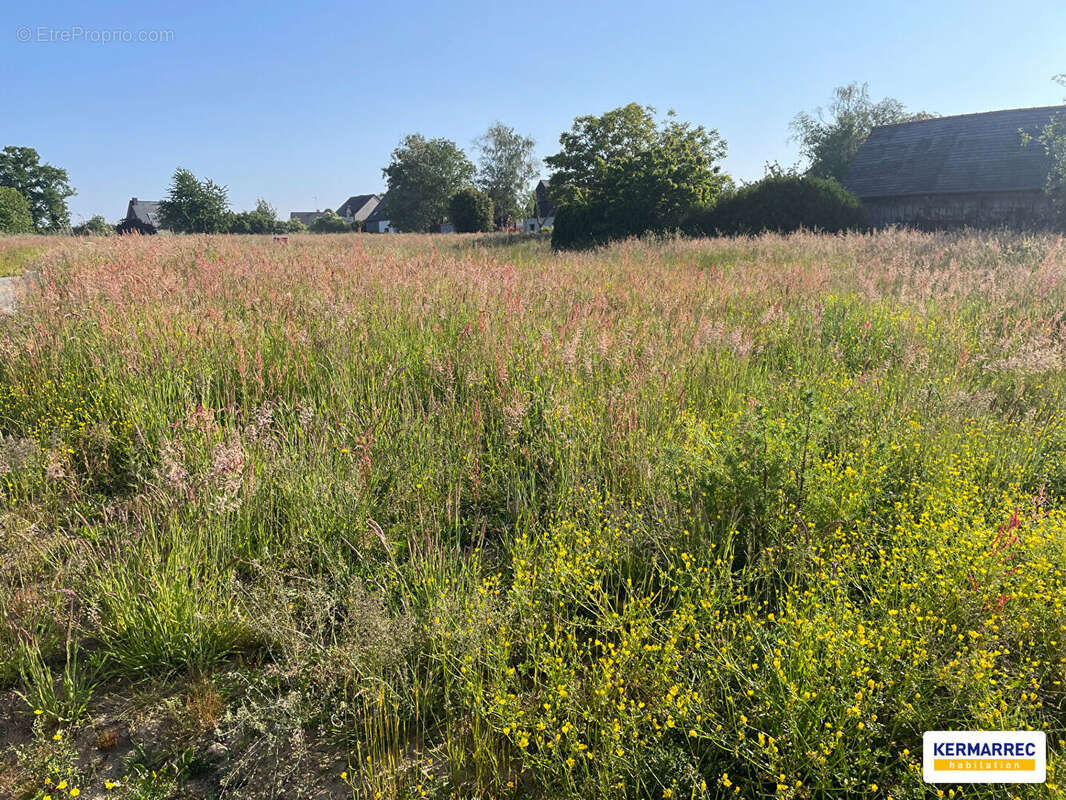 Terrain à MONDEVERT