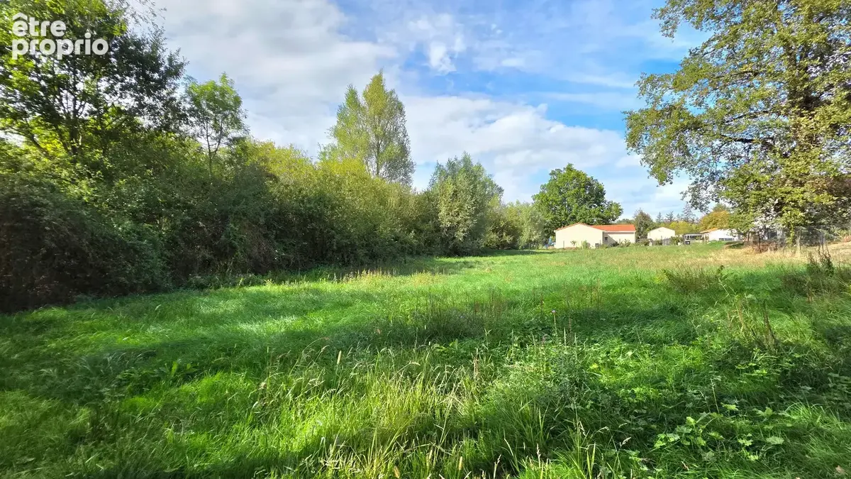 LEZOUX / Terrain à bâtir à vendre de 1 555 m2 viabilisé - photo 6