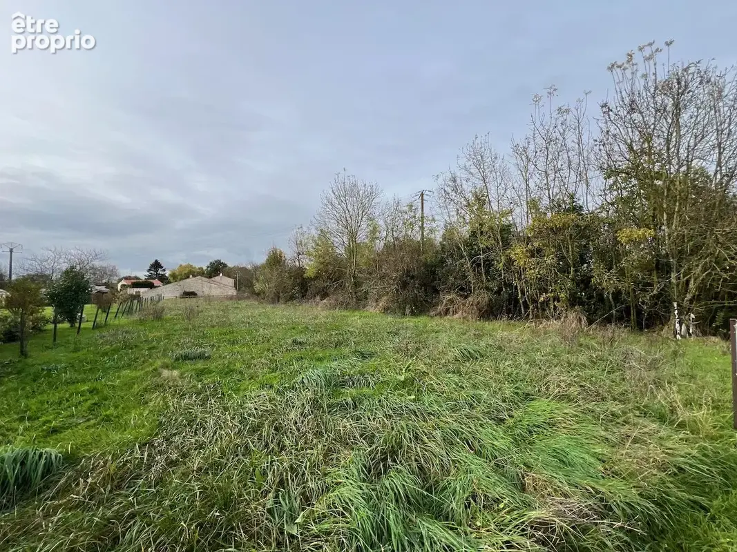 Terrain 1 063 m² à vendre à Sainte-Hermine (85210) - photo 4