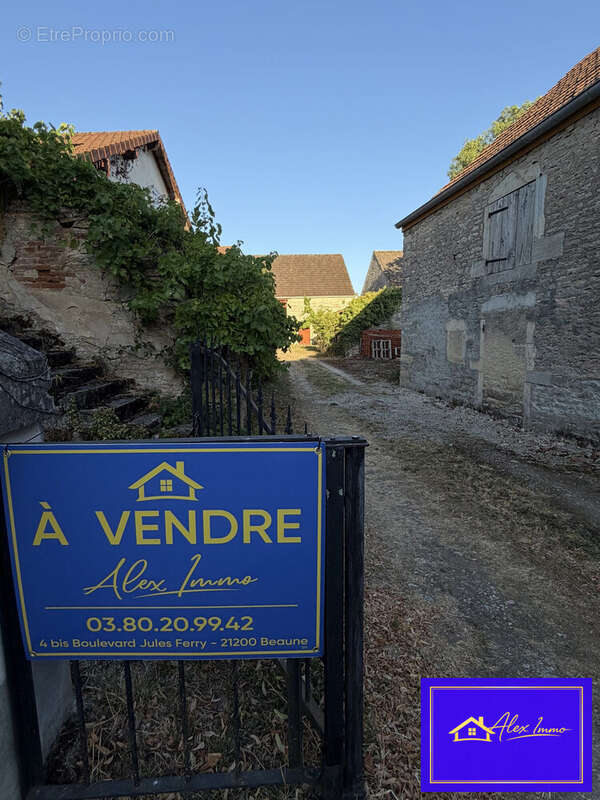 Maison 235 m² à Sainte-Marie-La-Blanche  - photo 6