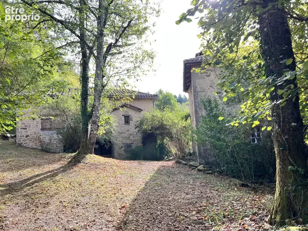 Environs de Figeac: Ensemble de deux maisons en pierre et dépendances avec 20 hectares - photo 17