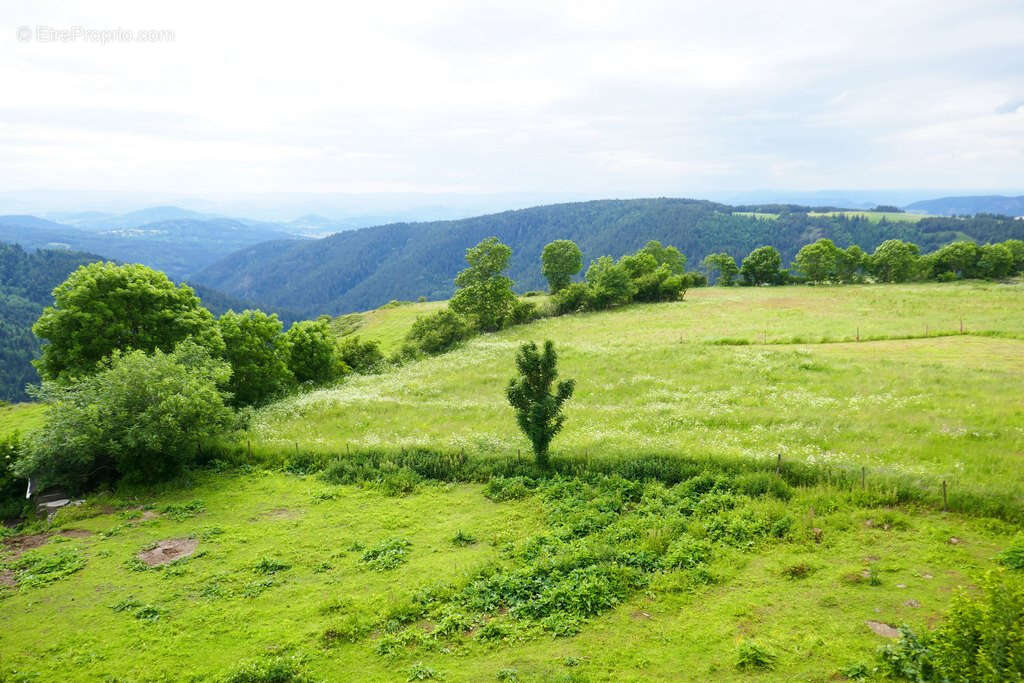 Maison à SAINT-FRONT