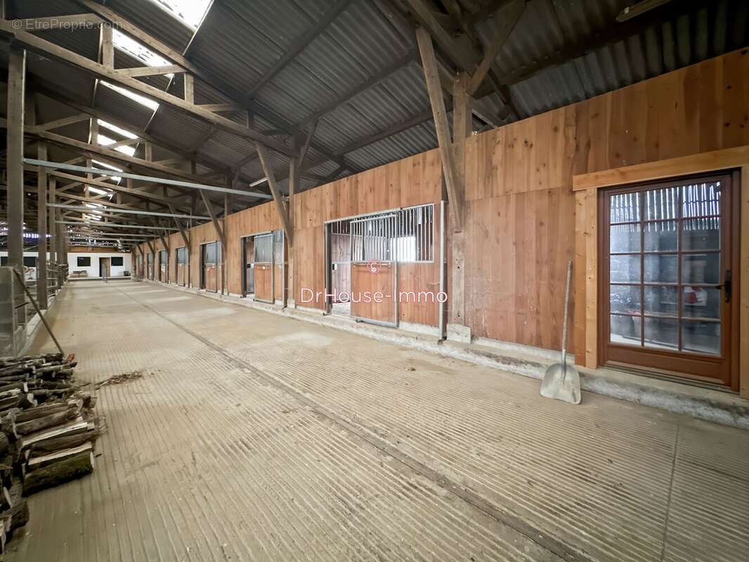 Autre à MAMERS