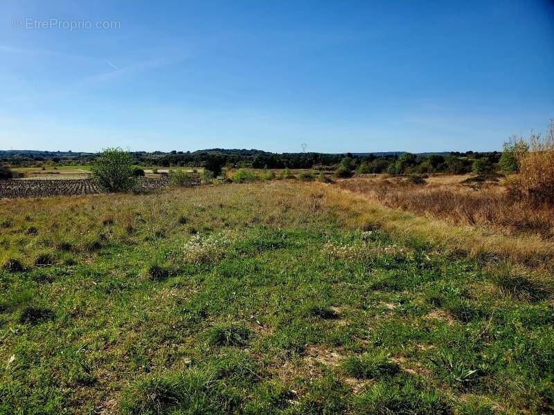 Terrain à LOUPIAN