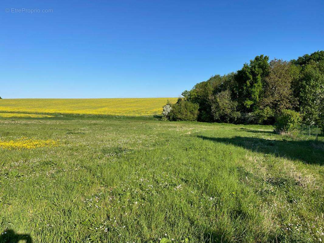 Terrain à EPERNON