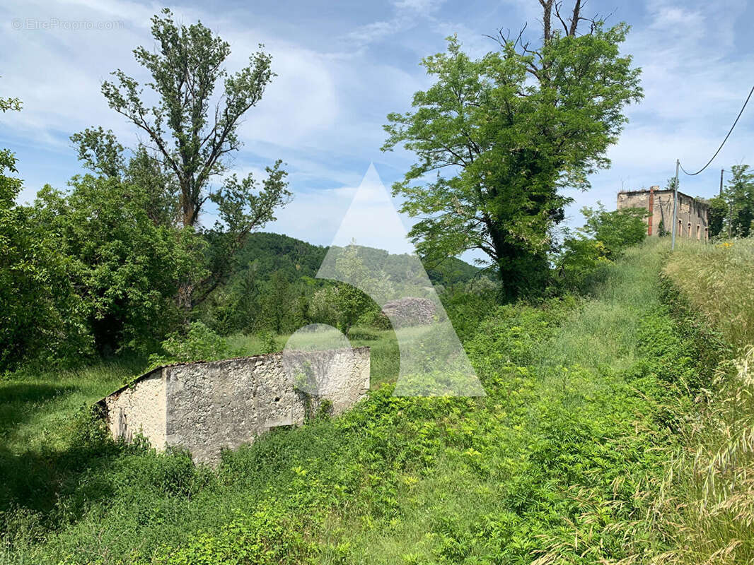 Ruine en pierre à rénover sur terrain 1,2 ha zone verte à Gensac - photo 3