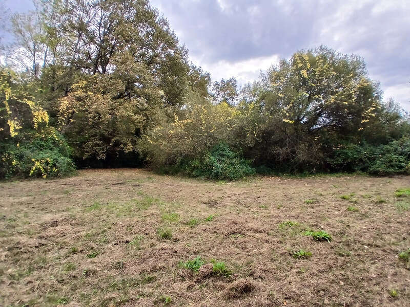 Terrain à CREON