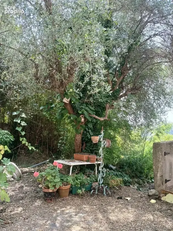 Vente Maison Nice(06000) 1 125 000ï¿œ - photo 7
