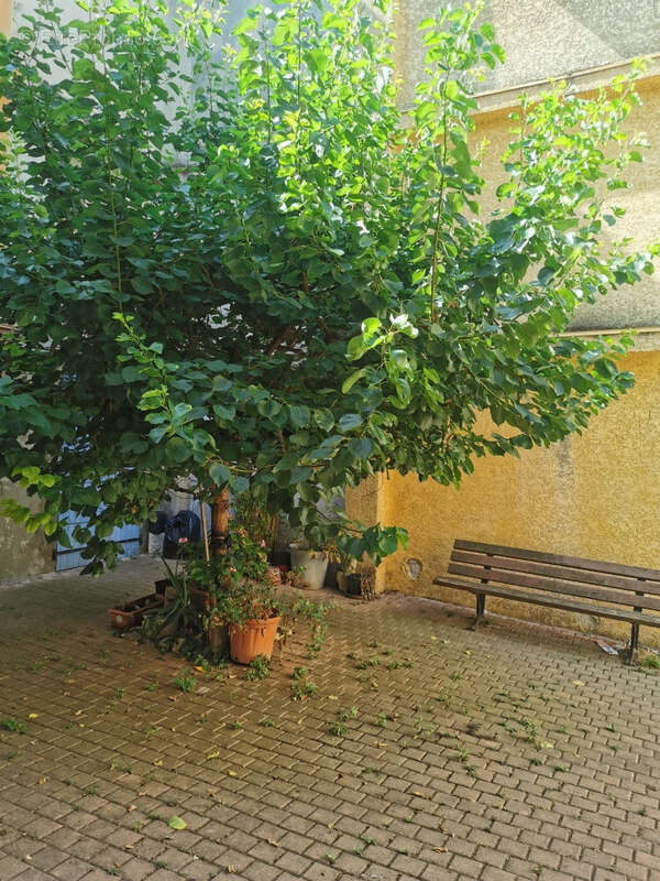 Maison de village avec terrasse - photo 6