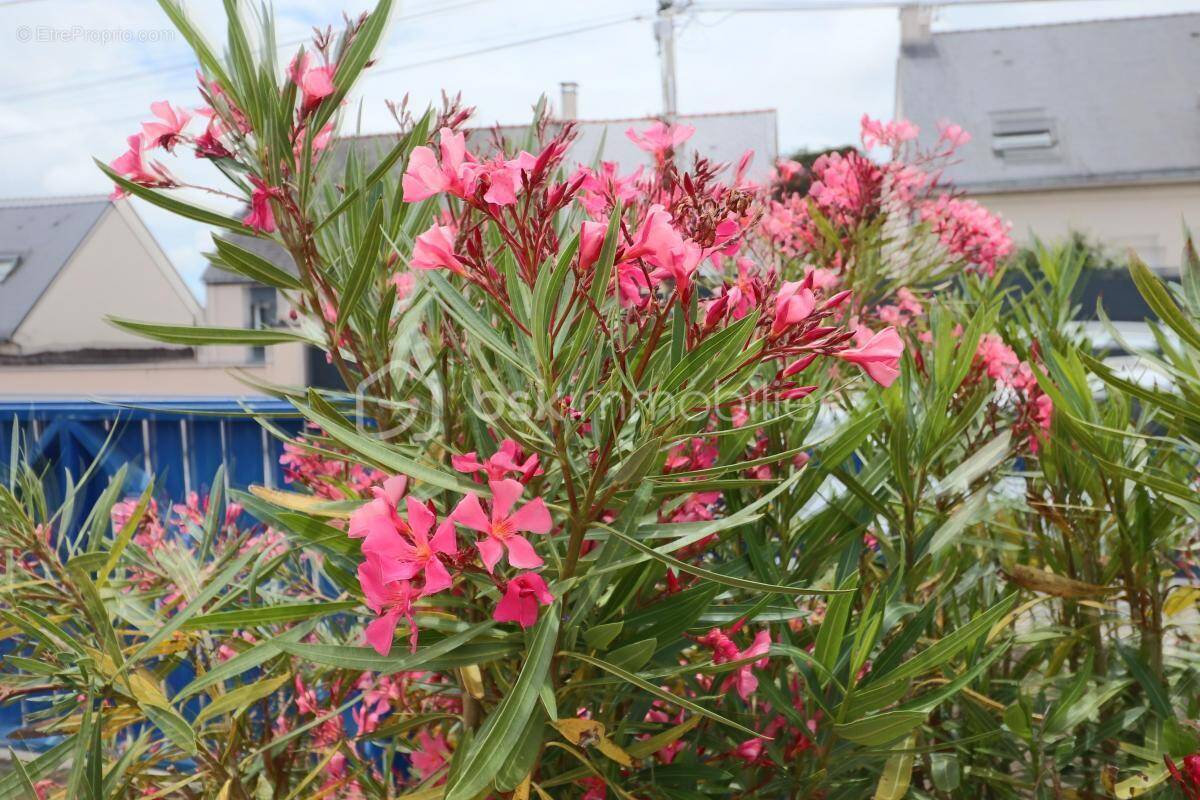 Maison à SAINT-MOLF