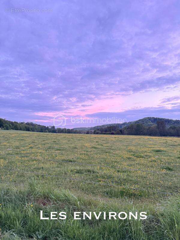 Terrain à HAM-SOUS-VARSBERG
