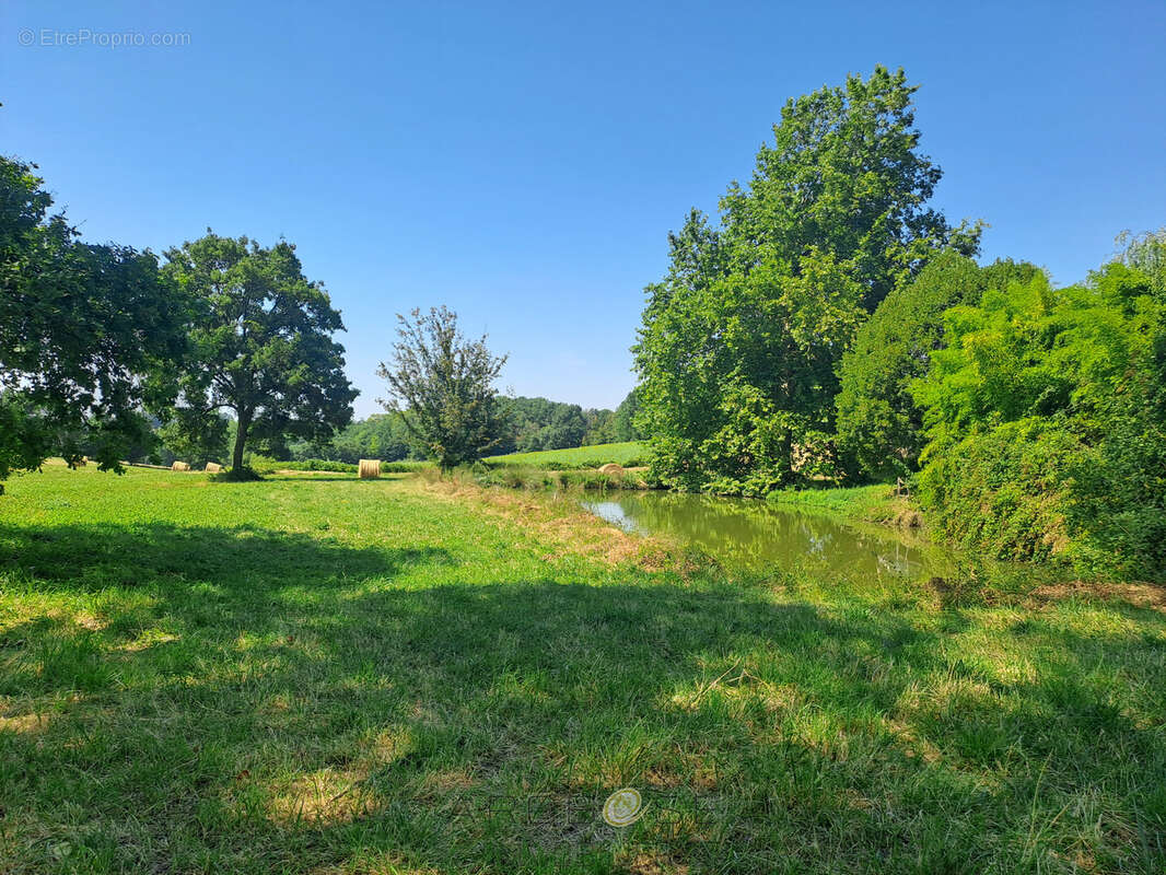 Maison de caractère en campagne sur 3 hectares avec son étang ! - photo 18