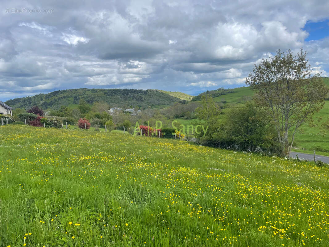 Terrain à SAINT-VICTOR-LA-RIVIERE