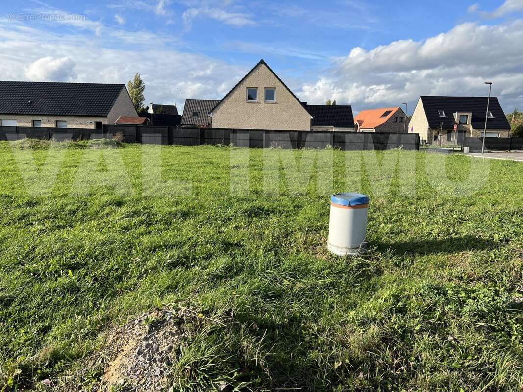 IMG_9901 - Terrain à VILLERS-AU-TERTRE